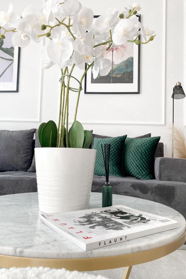 Apartment Lolita Lux - Waterfront Belgrad